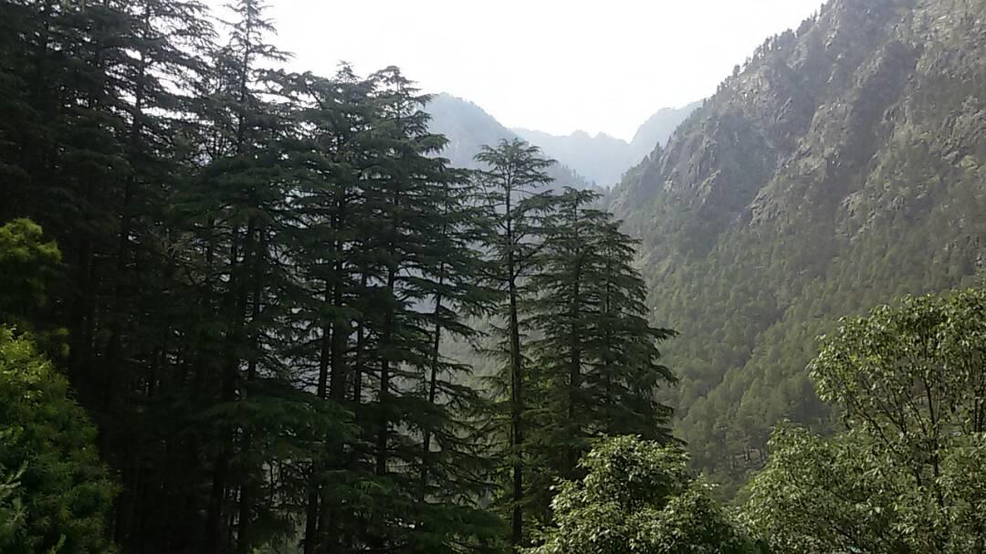 Hotel Deep Forest Kasol Luaran gambar